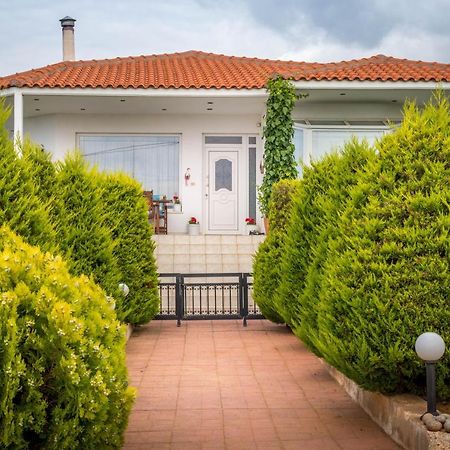 Vineyard Country House With Panoramic Seaview Alexandrupoli Exteriér fotografie