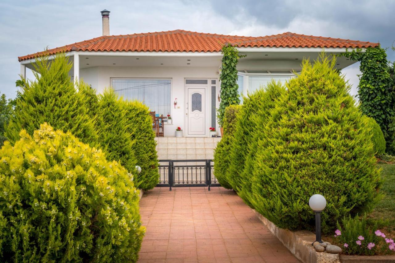 Vineyard Country House With Panoramic Seaview Alexandrupoli Exteriér fotografie