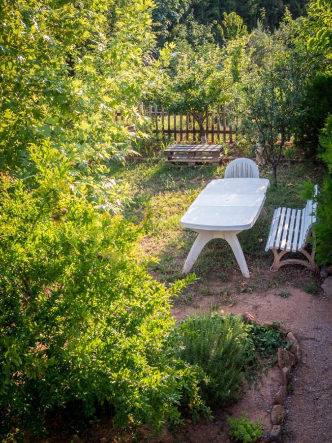 Vineyard Country House With Panoramic Seaview Alexandrupoli Exteriér fotografie