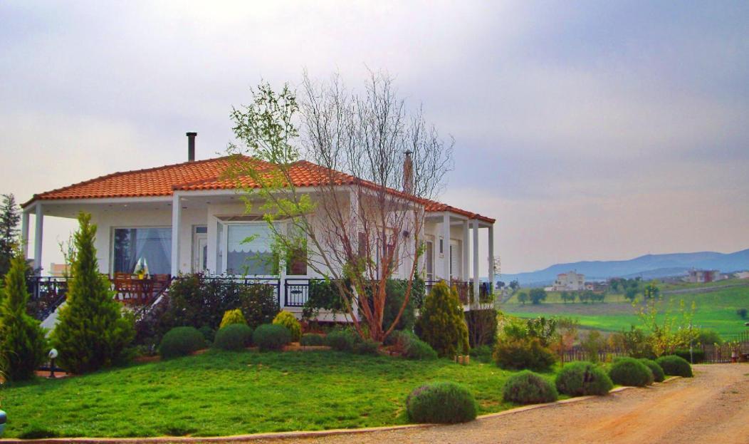 Vineyard Country House With Panoramic Seaview Alexandrupoli Exteriér fotografie