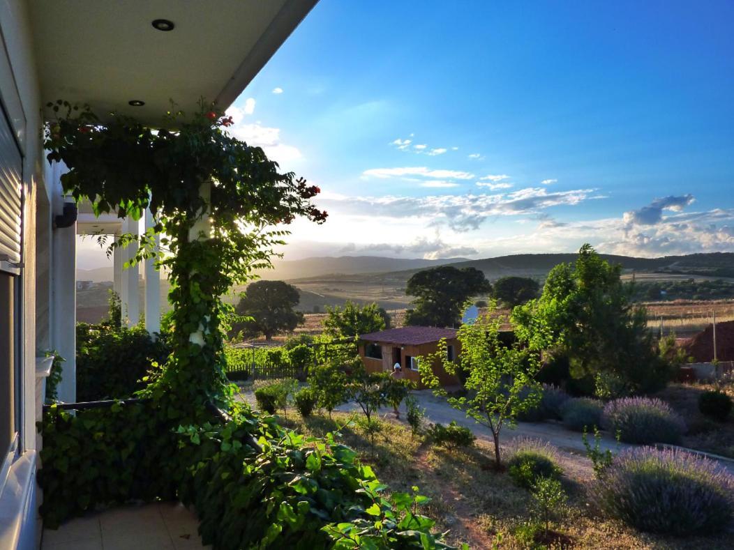 Vineyard Country House With Panoramic Seaview Alexandrupoli Exteriér fotografie